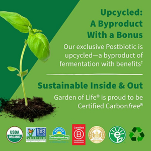 Probiotics Immune Support, Supplements - Image 2